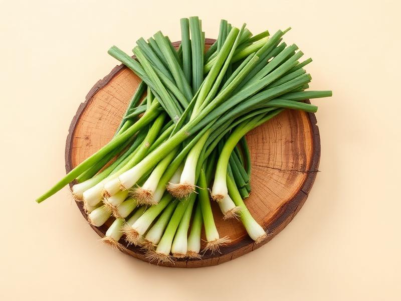 Fresh Jamaican Scallion for wholesale and export supply